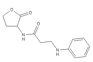 Image of 3-anilino-N-(2-ketotetrahydrofuran-3-yl)propionamide