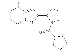 Tetrahydrofuryl-[2-(4,5,6,7-tetrahydropyrazolo[1,5-a]pyrimidin-2-yl)pyrrolidino]methanone