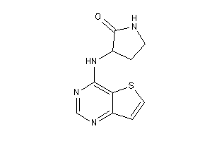 3-(thieno[3,2-d]pyrimidin-4-ylamino)-2-pyrrolidone