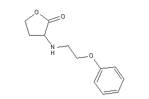 Image of 3-(2-phenoxyethylamino)tetrahydrofuran-2-one