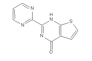 2-(2-pyrimidyl)-1H-thieno[2,3-d]pyrimidin-4-one