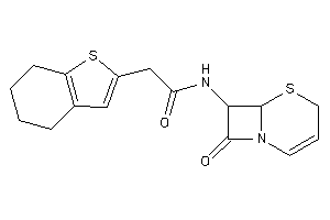 N-(8-keto-5-thia-1-azabicyclo[4.2.0]oct-2-en-7-yl)-2-(4,5,6,7-tetrahydrobenzothiophen-2-yl)acetamide