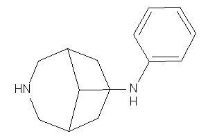 Image of 3-azabicyclo[3.3.1]nonan-9-yl(phenyl)amine