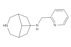 3-azabicyclo[3.3.1]nonan-9-yl(2-pyridylmethyl)amine