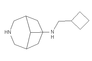 7-azabicyclo[3.3.1]nonan-9-yl(cyclobutylmethyl)amine