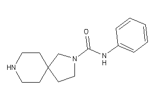 Image of N-phenyl-3,8-diazaspiro[4.5]decane-3-carboxamide