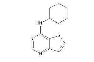 Image of Cyclohexyl(thieno[3,2-d]pyrimidin-4-yl)amine