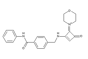4-[[(3-keto-4-morpholin-4-ium-4-ylidene-cyclobuten-1-yl)amino]methyl]-N-phenyl-benzamide