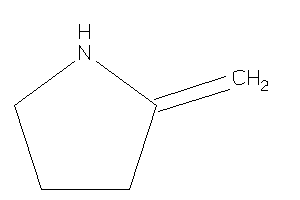 Image of 2-methylenepyrrolidine