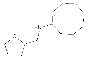 Image of Cyclooctyl(tetrahydrofurfuryl)amine