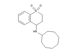 Cyclooctyl-(1,1-diketo-3,4-dihydro-2H-thiochromen-4-yl)amine