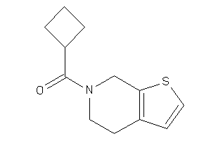 Cyclobutyl(5,7-dihydro-4H-thieno[2,3-c]pyridin-6-yl)methanone