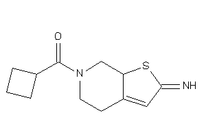 Cyclobutyl-(2-imino-4,5,7,7a-tetrahydrothieno[2,3-c]pyridin-6-yl)methanone