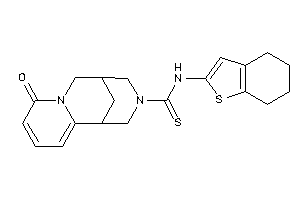 Keto-N-(4,5,6,7-tetrahydrobenzothiophen-2-yl)BLAHcarbothioamide