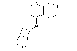 7-bicyclo[3.2.0]hept-2-enyl(5-isoquinolyl)amine