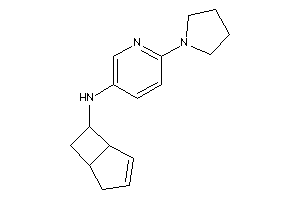 6-bicyclo[3.2.0]hept-3-enyl-(6-pyrrolidino-3-pyridyl)amine