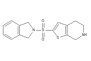 2-isoindolin-2-ylsulfonyl-4,5,6,7-tetrahydrothieno[2,3-c]pyridine
