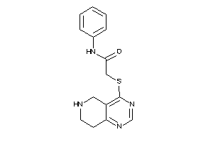 N-phenyl-2-(5,6,7,8-tetrahydropyrido[4,3-d]pyrimidin-4-ylthio)acetamide