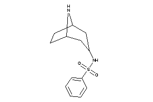 N-(8-azabicyclo[3.2.1]octan-3-yl)benzenesulfonamide