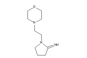 [1-(2-morpholinoethyl)pyrrolidin-2-ylidene]amine