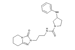 3-anilino-N-[3-(3-keto-5,6,7,8-tetrahydro-[1,2,4]triazolo[4,3-a]pyridin-2-yl)propyl]pyrrolidine-1-carboxamide