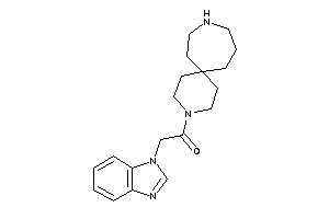 2-(benzimidazol-1-yl)-1-(3,9-diazaspiro[5.6]dodecan-3-yl)ethanone