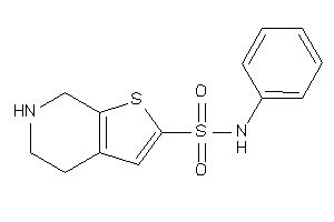 N-phenyl-4,5,6,7-tetrahydrothieno[2,3-c]pyridine-2-sulfonamide
