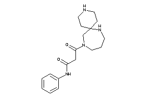 Image of 3-keto-N-phenyl-3-(3,7,11-triazaspiro[5.6]dodecan-11-yl)propionamide