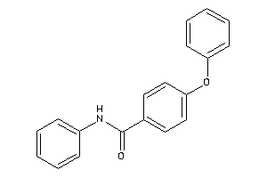 Image of 4-phenoxy-N-phenyl-benzamide