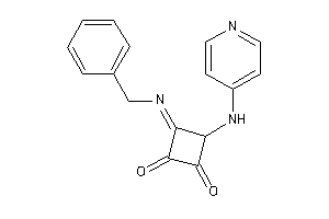 3-benzylimino-4-(4-pyridylamino)cyclobutane-1,2-quinone