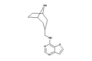 Image of 8-azabicyclo[3.2.1]octan-3-ylmethyl(thieno[3,2-d]pyrimidin-4-yl)amine
