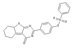 Image of Benzenesulfonic Acid [4-(4-keto-6,7,8,8a-tetrahydro-5H-benzothiopheno[2,3-d]pyrimidin-2-yl)phenyl] Ester