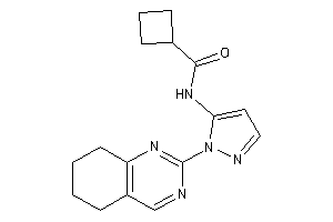 N-[2-(5,6,7,8-tetrahydroquinazolin-2-yl)pyrazol-3-yl]cyclobutanecarboxamide