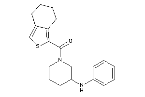 Image of (3-anilinopiperidino)-(4,5,6,7-tetrahydroisobenzothiophen-1-yl)methanone