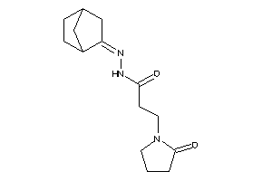 Image of 3-(2-ketopyrrolidino)-N-(norbornan-2-ylideneamino)propionamide