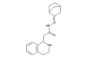 N-(norbornan-2-ylideneamino)-2-(1,2,3,4-tetrahydroisoquinolin-1-yl)acetamide
