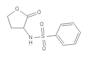 Image of N-(2-ketotetrahydrofuran-3-yl)benzenesulfonamide
