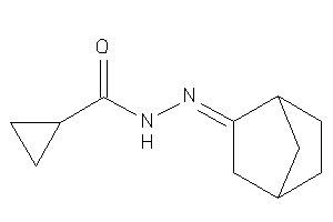 Image of N-(norbornan-2-ylideneamino)cyclopropanecarboxamide