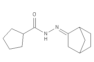 Image of N-(norbornan-2-ylideneamino)cyclopentanecarboxamide