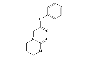 2-(2-ketohexahydropyrimidin-1-yl)acetic Acid Phenyl Ester