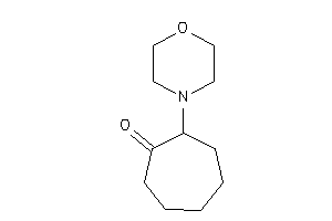 Image of 2-morpholinocycloheptanone