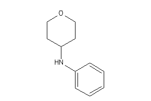 Image of Phenyl(tetrahydropyran-4-yl)amine