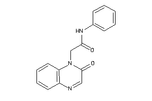 2-(2-ketoquinoxalin-1-yl)-N-phenyl-acetamide