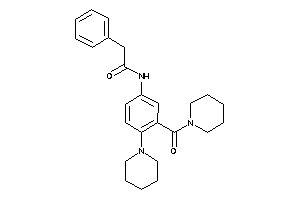 2-phenyl-N-[3-(piperidine-1-carbonyl)-4-piperidino-phenyl]acetamide