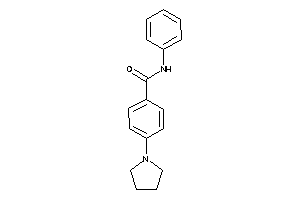 Image of N-phenyl-4-pyrrolidino-benzamide