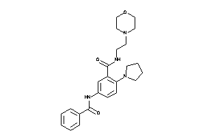 5-benzamido-N-(2-morpholinoethyl)-2-pyrrolidino-benzamide