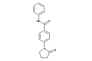 4-(2-ketopyrrolidino)-N-phenyl-benzamide