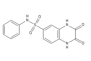2,3-diketo-N-phenyl-1,4-dihydroquinoxaline-6-sulfonamide