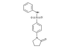 Image of 4-(2-ketopyrrolidino)-N-phenyl-benzenesulfonamide