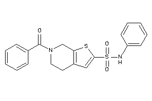 6-benzoyl-N-phenyl-5,7-dihydro-4H-thieno[2,3-c]pyridine-2-sulfonamide